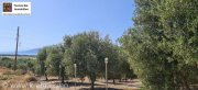 Kamilari Traumhaftes Grundstück mit 360° Panoramablick auf das lybische Meer und den höchsten Berg Kretas, den Psiloritis Grundstück